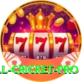 all cricket - Casino Plus