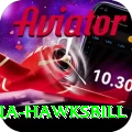 antigua hawksbill Pro1 v5.8.0
