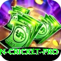 australian cricket Game Royal v5.3.7