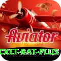 cricket bat Casino Official v4.8.7