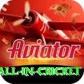 fastest ball in cricket Gold Pro v4.2.0