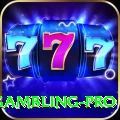 gambling - Casino Master
