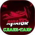 grass carp Master Pro v2.8.5