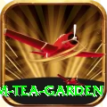 hile ilam tea garden Games (Casino & Earning) VIP v1.9.9