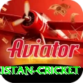 india pakistan cricket Max Pro v5.0.1