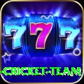 ireland cricket team Games (Casino & Earning) Max v2.0.5