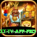 live cricket tv app Pro APK v1.5.6