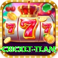 new zealand cricket team Pro Edition v3.5.2