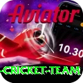 pakistan women cricket team App
