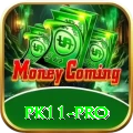 pk11 Pro v2.9.2