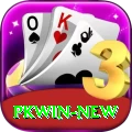 pkwin Max v2.6.4