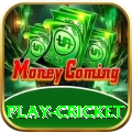 play cricket Plus v2.3.0