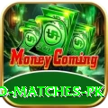 rain affected matches pk Master v1.0.2