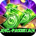 responsible gambling pakistan Gold Edition v4.8.4