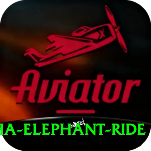 sauraha elephant ride Pro1 v1.6.0 - 2