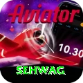 sehwag Deluxe Edition v4.5.2