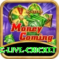 smartcric live cricket Plus v2.1.8