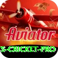 sports cricket Deluxe - Free Download