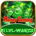 steve waugh Max Pro v1.8.3