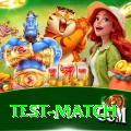 test match VIP Pro v5.3.1