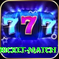 to day cricket match Elite v5.5.6