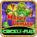 v cricket Live Casino VIP