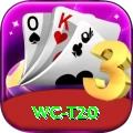 wc t20 Premium Edition v2.1.8