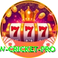 willow cricket Pro - Casino & Slots